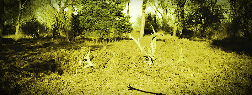Necrom — Bronze Age mound